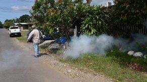 Autoridades preocupadas por alto nivel de infestación de dengue en Chiriquí