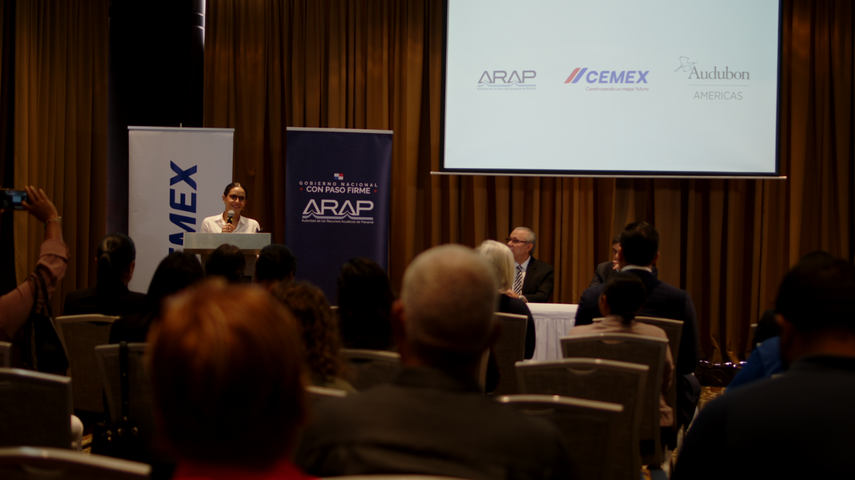 Redes de pesca abandonadas podrían convertirse en fuente de combustible alternativo