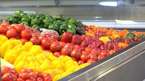 Comerciantes de Cadena de Frío en David se reinventan