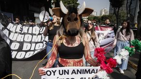Activistas protestan por reinicio de corridas de toros en Ciudad de México