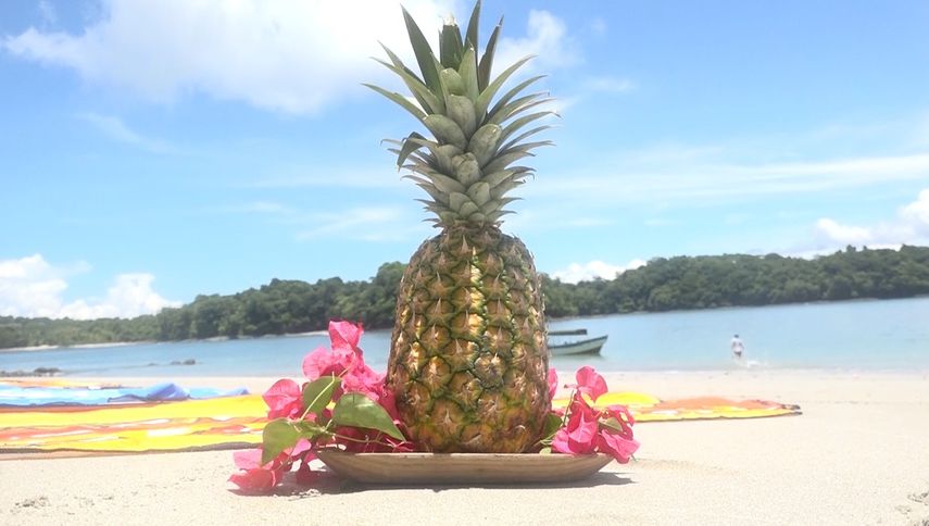 Chiriquí tiene sitios conocidos ampliamente