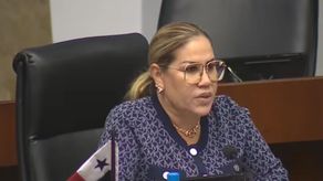 Diputada de RM, Shirley Castañeda.