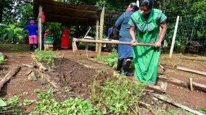 MIDES y Banco Mundial lanzan proyecto para potenciar granjas autosostenibles