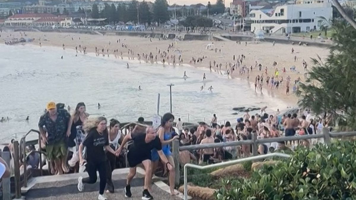 Más de 10 muertos en un tiroteo durante una fiesta judía en una playa de Australia Más de 10 muertos en un tiroteo durante una fiesta judía en una playa de Australia
