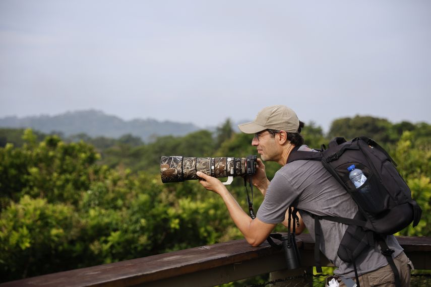 Panamá se consolida como destino para la observación de aves en el Global Big Day