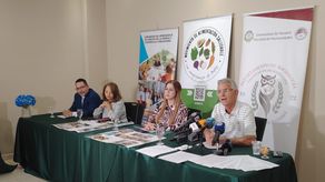 Con el inicio del año escolar en Panamá, expertos en nutrición recomiendan a los padres prestar especial atención a lo que colocan en las loncheras, ya que una alimentación inadecuada puede afectar el rendimiento académico, la concentración y los niveles de energía de los niños durante la jornada de clases.