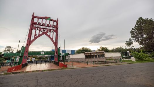 La ingeniera Fátima de Cáceres, encargada del sector agrícola de la Feria Internacional de David ya está preparando los cultivos para la próxima versión.