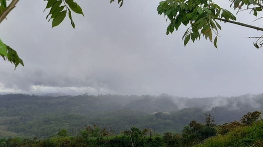 MiAmbiente autoriza acceso a áreas protegidas de Chiriquí