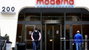 Vacuna contra covid-19 probada en monos dio resultados alentadores