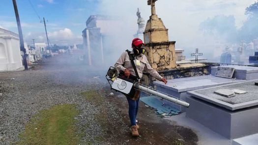 El jefe regional de Control de Vectores del Minsa, Patricio Camarena, solicitó a la ciudadanía no llevar a los cementerios floreros o adornos que puedan acumular agua de lluvia y sirvan como criadero del mosquito Aedes Aegypti.