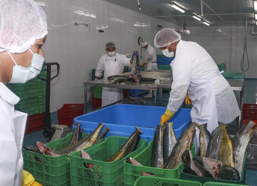 En enero de 2024, las exportaciones panameñas ascendieron a B/. 85.4 millones, lo que corresponde a B/. 62.9 millones en exportaciones de los sectores productivos y B/. 22.4 millones en exportaciones de valor agregado. En enero de 2024, las exportaciones panameñas ascendieron a B/. 85.4 millones, lo que corresponde a B/. 62.9 millones en exportaciones de los sectores productivos y B/. 22.4 millones en exportaciones de valor agregado.