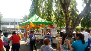 En Panamá hay 56 clínicas de cesación de tabaco, siete de ellas se localizan en la provincia de Chiriquí, las que ofrecen terapias gratuitas.&nbsp; &nbsp;