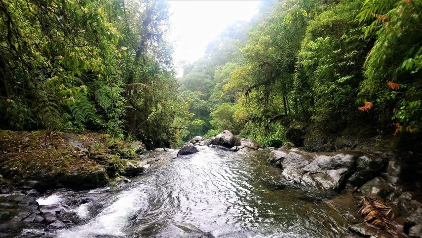 El Gobierno colombiano celebra designación del Darién como reserva de bioesfera El Gobierno colombiano celebra designación del Darién como reserva de bioesfera