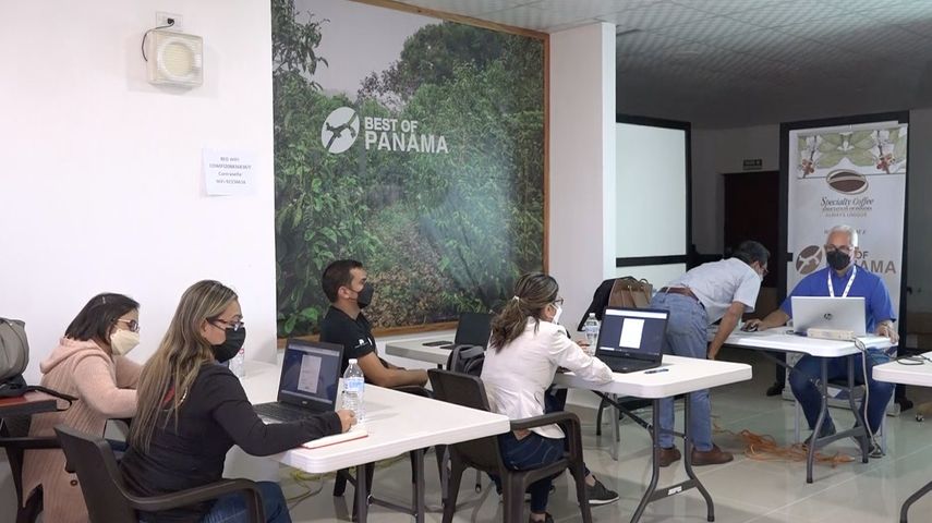Los productores de café se capacitaron para usar ePhyto del MIDA y facilitar sus exportaciones.