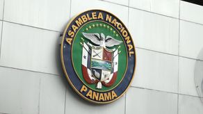 La Comisión de Gobierno de la Asamblea Nacional debe evaluar la propuesta cuando sea presentada.