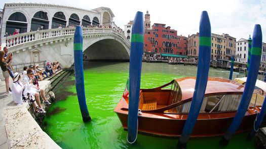 El pasado domingo las aguas del Gran Canal de Venecia se pintaron de verde, ante la admiración de las personas que lo redoaban.