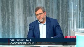 2025 cierra con cifra elevada de casos de dengue grave