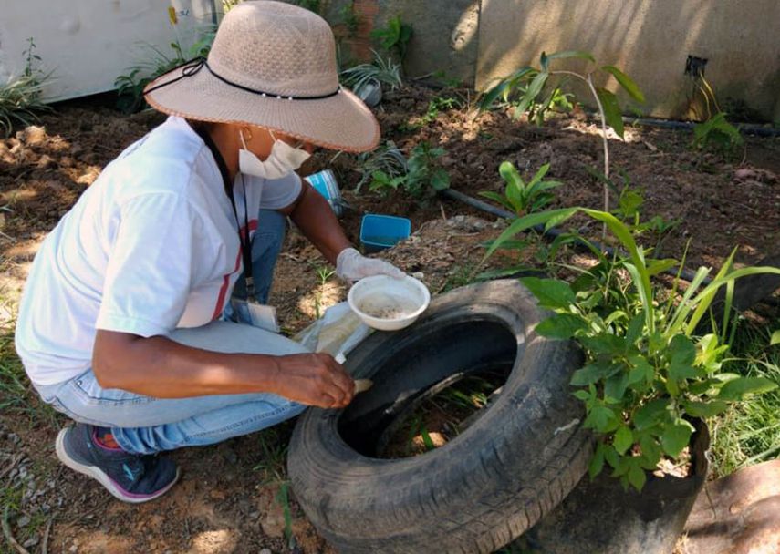 Minsa reporta 4,532 casos acumulados y seis defunciones por dengue en Panamá