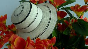 Coclé espera una derrama económica por el Festival Nacional del Sombrero Pintao