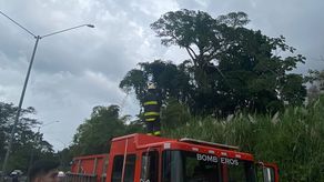 Aeronave se accidenta en el área boscosa de Clayton y deja 1 fallecido