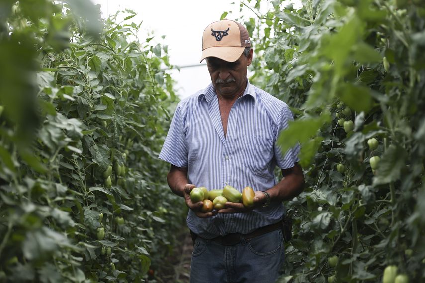 La directora de la División de Alimentación y Nutrición de la Organización de las Naciones Unidas para la Alimentación y la Agricultura (FAO), Lynnette Neufeld, pidió cambiar el concepto de llenar estómagos por nutrir. La directora de la División de Alimentación y Nutrición de la Organización de las Naciones Unidas para la Alimentación y la Agricultura (FAO), Lynnette Neufeld, pidió cambiar el concepto de llenar estómagos por nutrir.
