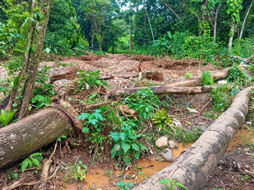 Aprehenden a dos personas por minería ilegal en el Parque Nacional Chagres