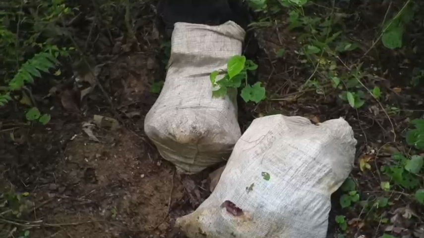 Senafront desmantela red de microtráfico en el distrito de Chepo. Senafront desmantela red de microtráfico en el distrito de Chepo.