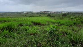 Privados de libertad trabajan en proyectos agropecuarios de La Granja 2000