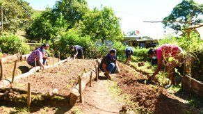 Más de B/.470 millones para combatir la pobreza y la desigualdad