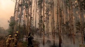 Chile recibe ayuda internacional para combatir incendios que dejan 26 muertos