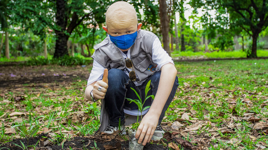 En la República Democrática del Congo se plantan árboles para ayudar a mitigar el cambio climático.