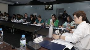 Mesa técnica legislativa continúa estudio sobre proyectos de lactancia materna