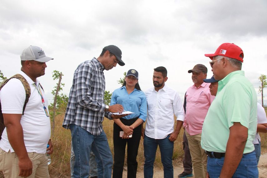 Comisión de Ambiente inspecciona posesión ilegal de tierras en proyecto de reforestación