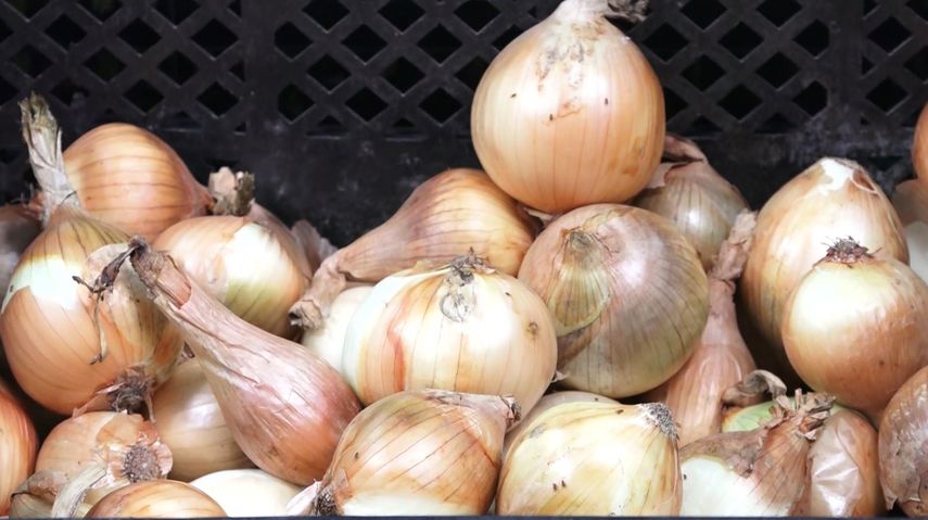 Compra de cebolla forma parte de un acuerdo del IMA.