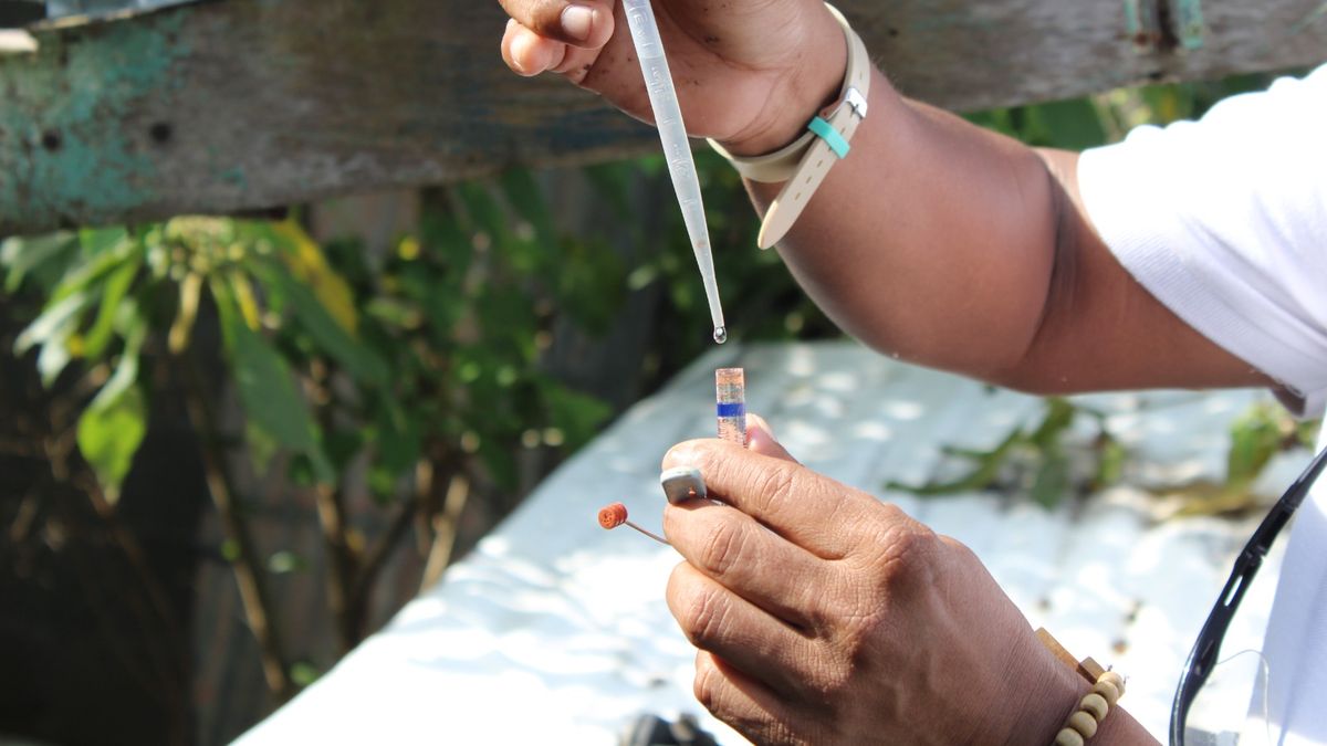 El Ministerio de Salud (Minsa), a través del Departamento de Epidemiología, reportó que hasta la semana epidemiológica N.° 47, correspondiente del 16 al 22 de noviembre de 2025, el país suma 14,905 casos acumulados de dengue. El Ministerio de Salud (Minsa), a través del Departamento de Epidemiología, reportó que hasta la semana epidemiológica N.° 47, correspondiente del 16 al 22 de noviembre de 2025, el país suma 14,905 casos acumulados de dengue.