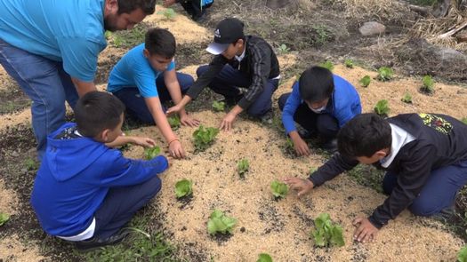 El proyecto impacta a un aproximado de mil estudiantes e involucra a unas cinco empresas privadas dedicadas a la producción de alimentos en Tierras Altas.