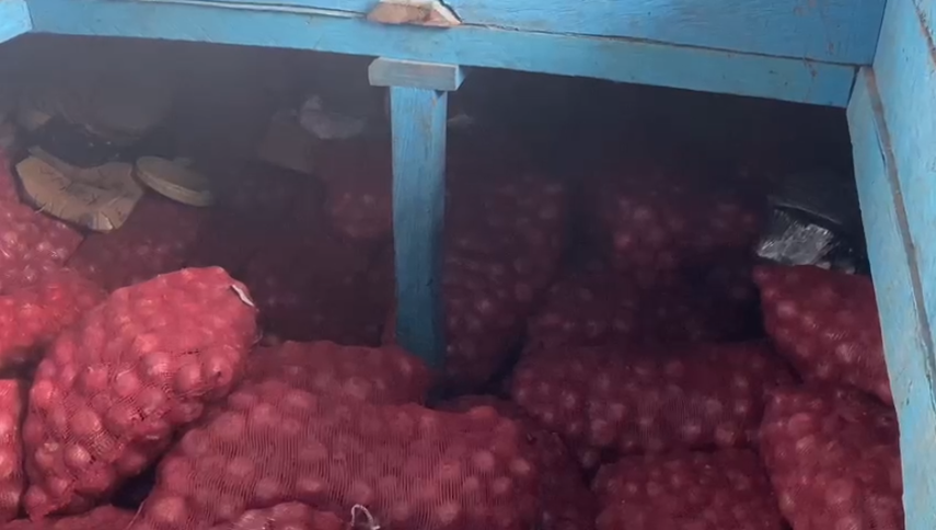 Panamá: Retienen embarcación por contrabando de cebollas.