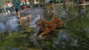 El 21 de julio fue el día más caluroso jamás registrado en el mundo