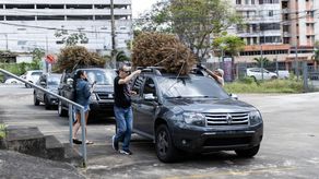 El material sacado del descarte de los arbolitos se utiliza con fines ambientales.