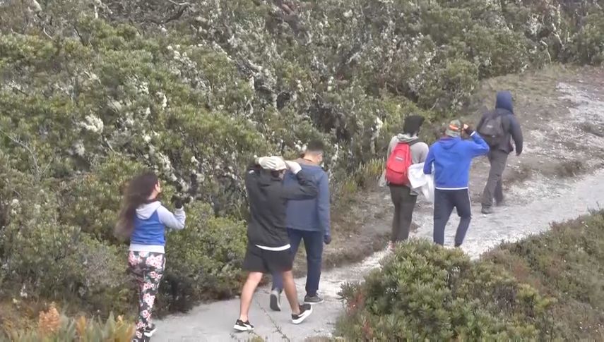 En el Parque PILA tuvo caída de múltiples árboles y parte del tendido eléctrico