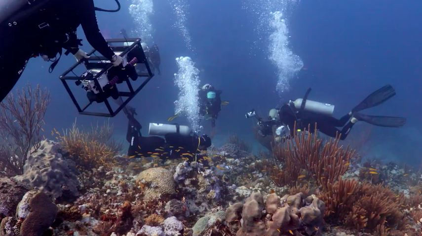 Panamá será sede de la conferencia Our Ocean 2023
