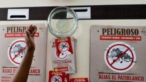 OMS admite que todo lo vinculado con el zika y su control es difícil