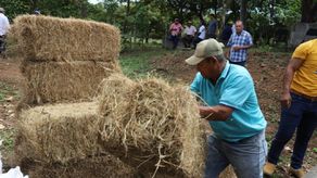Productores de Coclé reciben apoyo del gobierno por crisis climática