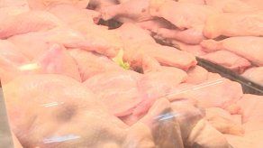 Panamá exportará carne avícola a China