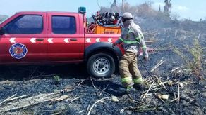 Bomberos atiende más 2 mil casos de incendios de masa vegetal en Panamá