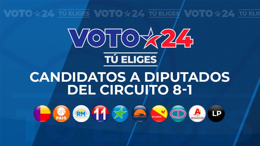Elecciones 2024: Candidatos a diputados por el circuito 8-1