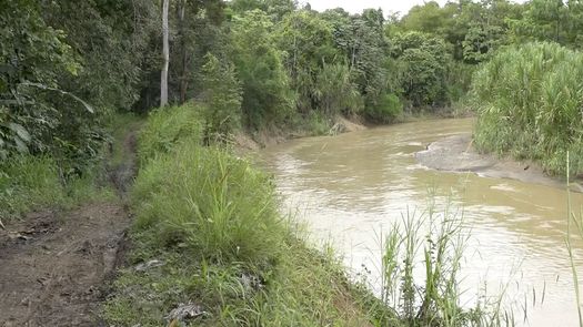 El río Palo Blanco ha salido de su cauce socavando el terreno que antes era utilizado por vehículos particulares, de carga e incluso taxis y buses que cruzaban entre lado y lado por lo cual residentes piden al MOP&nbsp;intervenir en la zona.