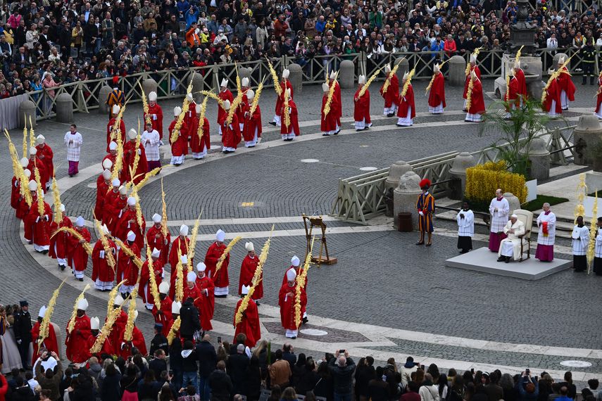 PAPA FRANCISCO DOMINGO DE RAMOS 