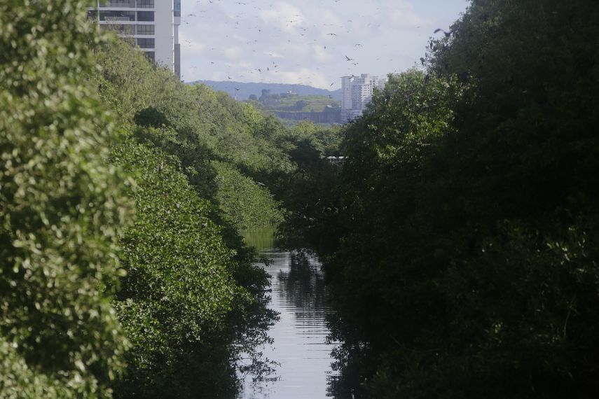 Panamá acoge debate regional sobre carbono azul y financiación climática rumbo a la COP30