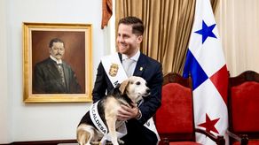 Artista GReeen acepta propuesta del alcalde de Panamá Mayer Mizrachi